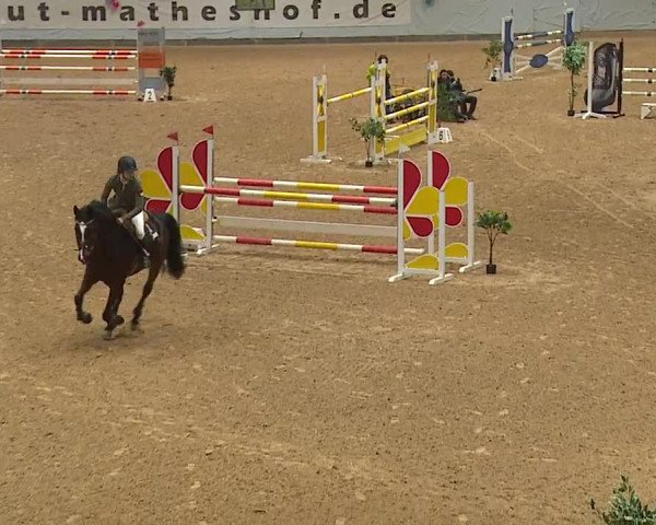 Reitturnier Kreuth/Opf. 2024