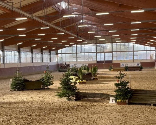 Reitturnier Münster, Westf. RuF Schule 2024