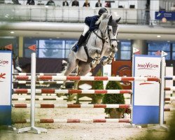 Springpferd Challenger (Ungarisches Warmblut, 2012, von Agropoint Cassiloc)
