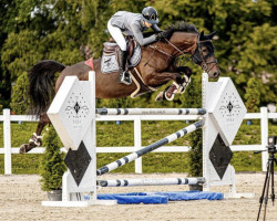 jumper Star Lady (Hanoverian, 2015, from Stakkato Gold)
