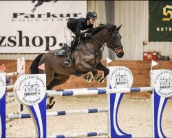 jumper Sadis 2 (Hanoverian, 2009, from Stakkato)