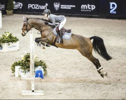 jumper Lilly Le (Hanoverian, 2011, from Landstreicher)