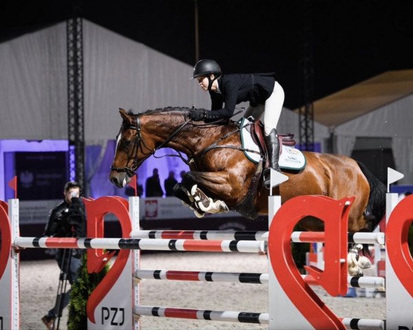 Springpferd Fereusa (KWPN (Niederländisches Warmblut), 2010, von Vincenzo NRW)