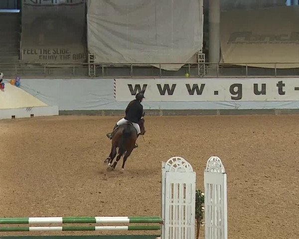 Reitturnier Kreuth/Opf. 2024