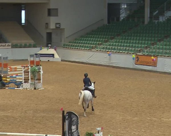 Reitturnier Kreuth/Opf. 2024