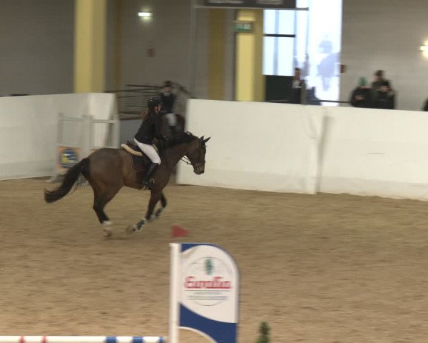 Reitturnier Stadl-Paura 2024