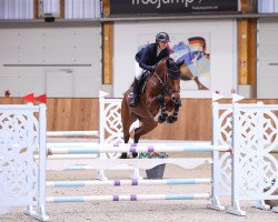 jumper Adele 129 (Oldenburg show jumper, 2018, from Armison)