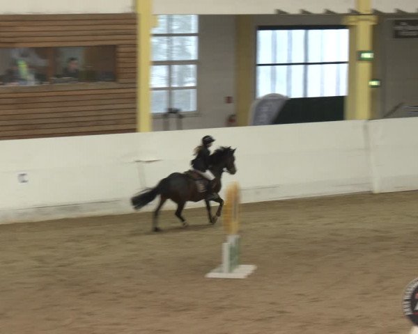 Reitturnier Stadl-Paura 2024