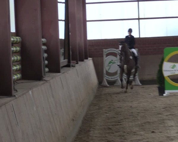 Reitturnier Ostenfelde-Vornholz 2024