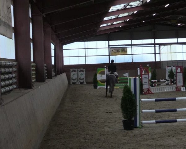 Reitturnier Ostenfelde-Vornholz 2024