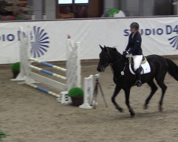 Reitturnier Prussendorf 2024