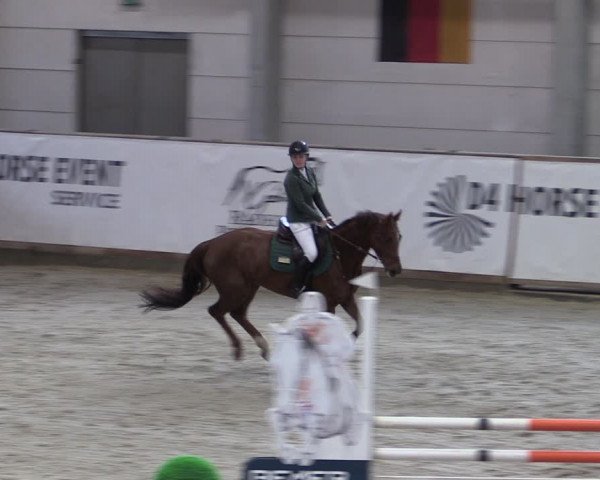 Reitturnier Prussendorf 2024