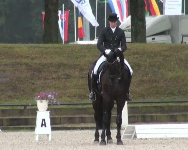 Riesenbeck INTERNATIONAL 2011