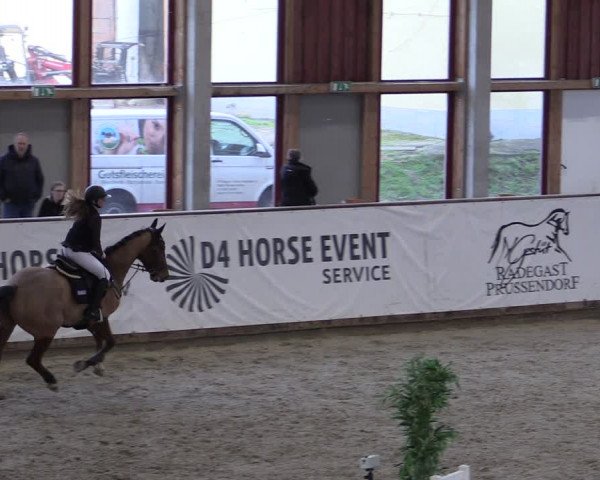 Reitturnier Prussendorf 2024