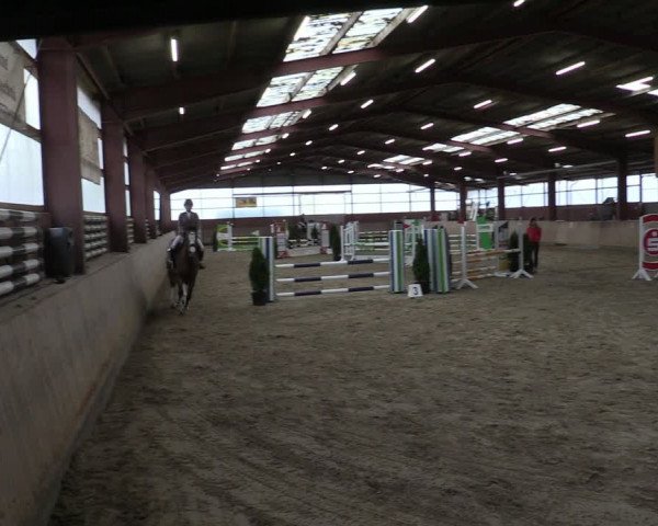Reitturnier Ostenfelde-Vornholz 2024