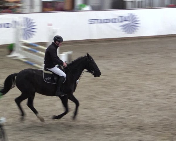 Reitturnier Prussendorf 2024