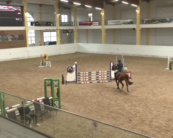 Reitturnier Stadl-Paura 2024