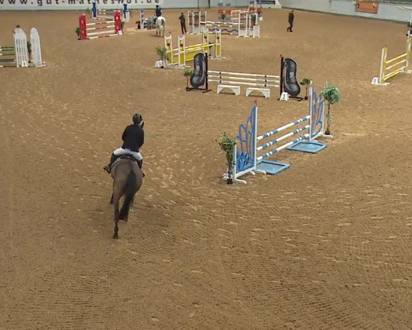 Reitturnier Kreuth/Opf. 2024