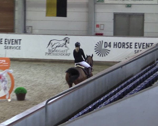 Reitturnier Prussendorf 2024