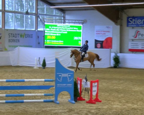 Reitturnier Borken 2024
