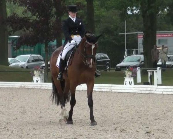Riesenbeck INTERNATIONAL 2011