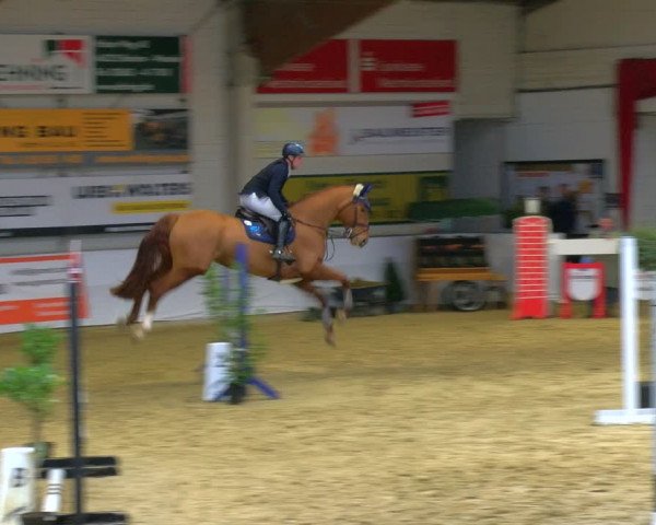 Reitturnier Borken 2024