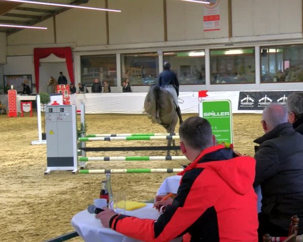 Reitturnier Borken 2024