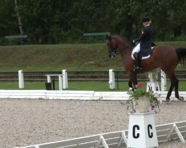Riesenbeck INTERNATIONAL 2011