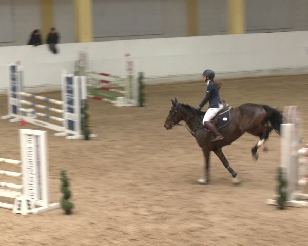 Reitturnier Stadl-Paura 2024