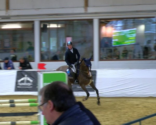 Reitturnier Borken 2024