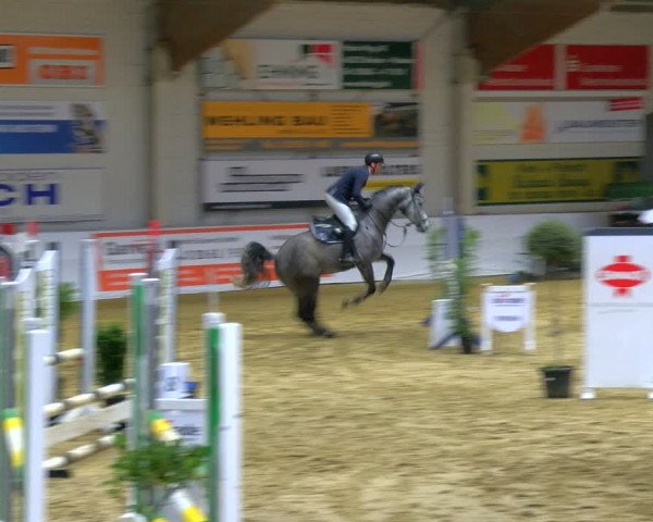 Reitturnier Borken 2024