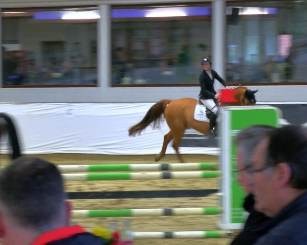 Reitturnier Borken 2024