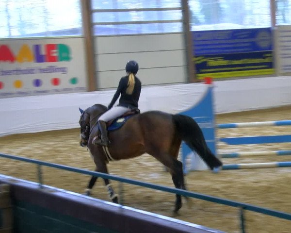 Reitturnier Borken 2024