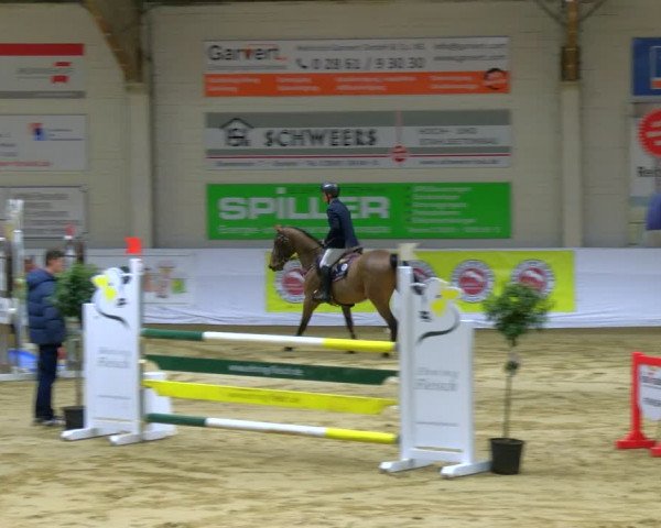 Reitturnier Borken 2024