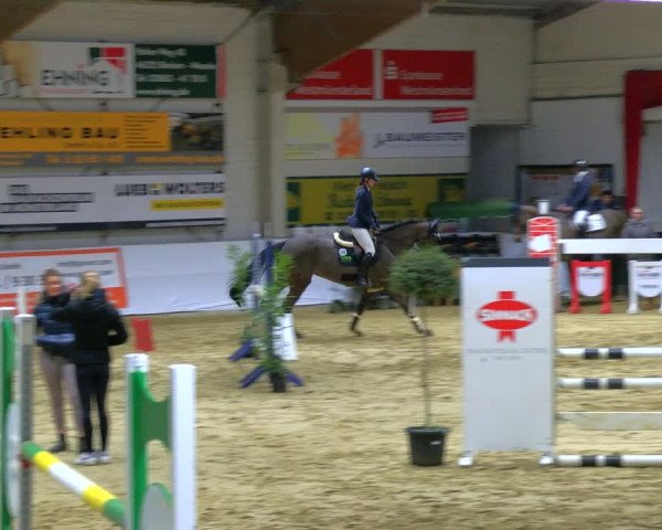 Reitturnier Borken 2024