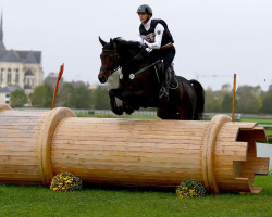 jumper Dexter FRH (Hanoverian, 2016, from Diarado)