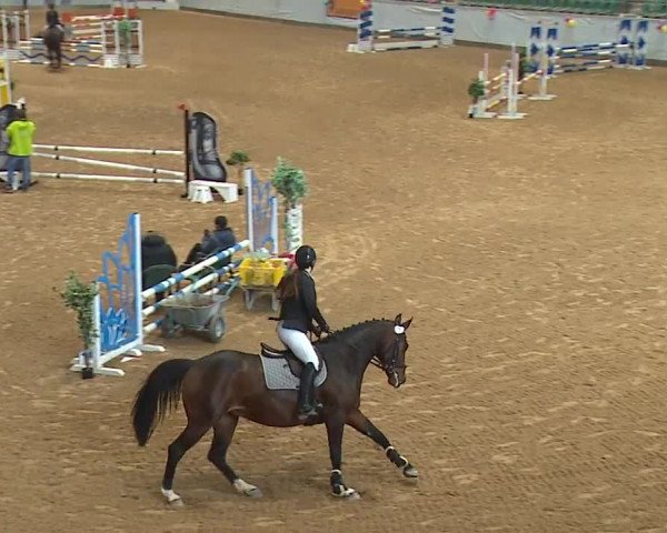 Reitturnier Kreuth/Opf. 2024