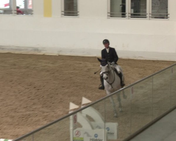 Reitturnier Stadl-Paura 2024