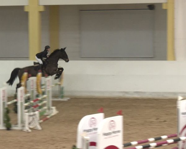 Reitturnier Stadl-Paura 2024