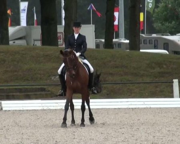 Riesenbeck INTERNATIONAL 2011