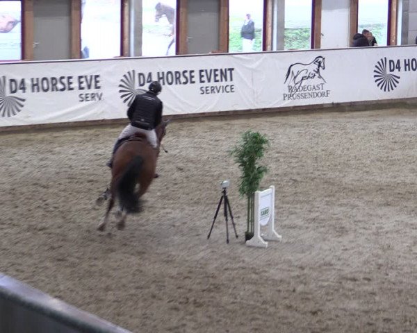 Reitturnier Prussendorf 2024