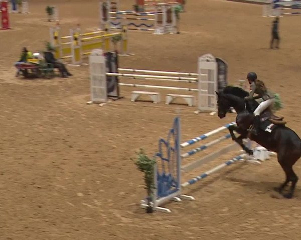Reitturnier Kreuth/Opf. 2024