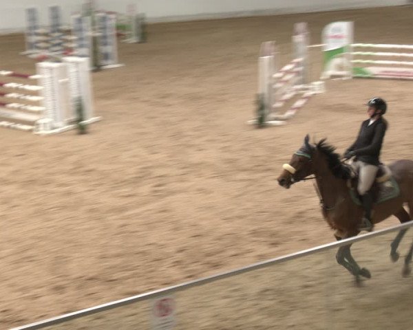 Reitturnier Stadl-Paura 2024