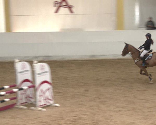 Reitturnier Stadl-Paura 2024