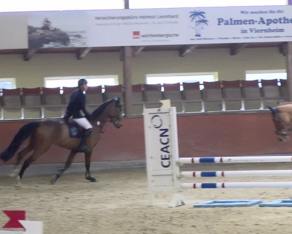 Reitturnier Viernheim 2024