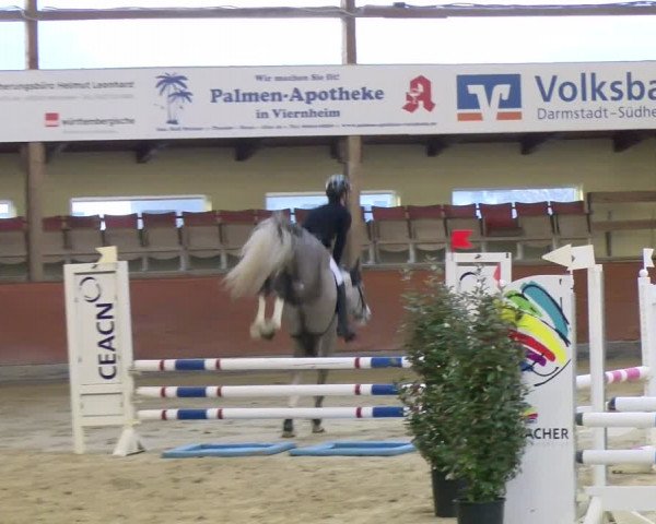 Reitturnier Viernheim 2024