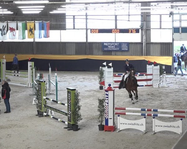 Reitturnier Erlen 2024