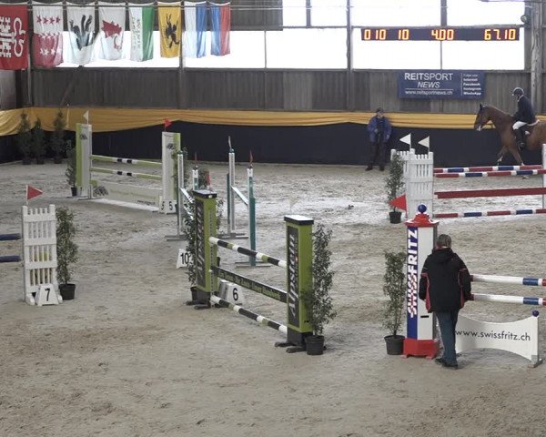 Reitturnier Erlen 2024