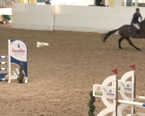 Reitturnier Stadl-Paura 2024