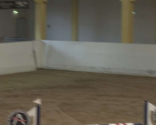 Reitturnier Stadl-Paura 2024